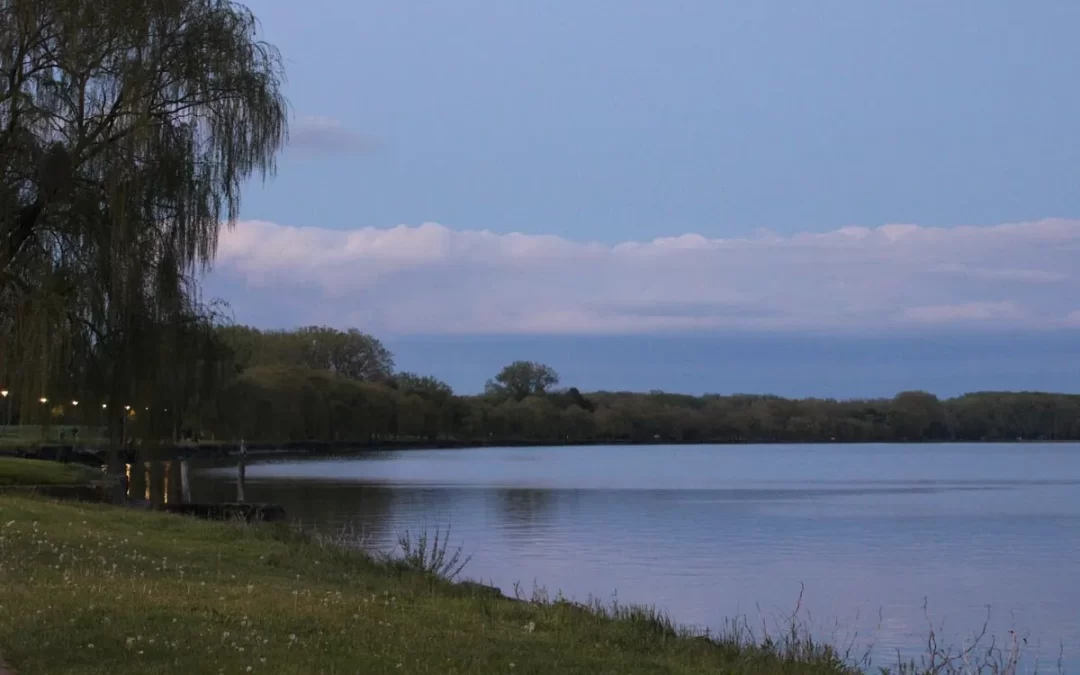 Reedy Lake